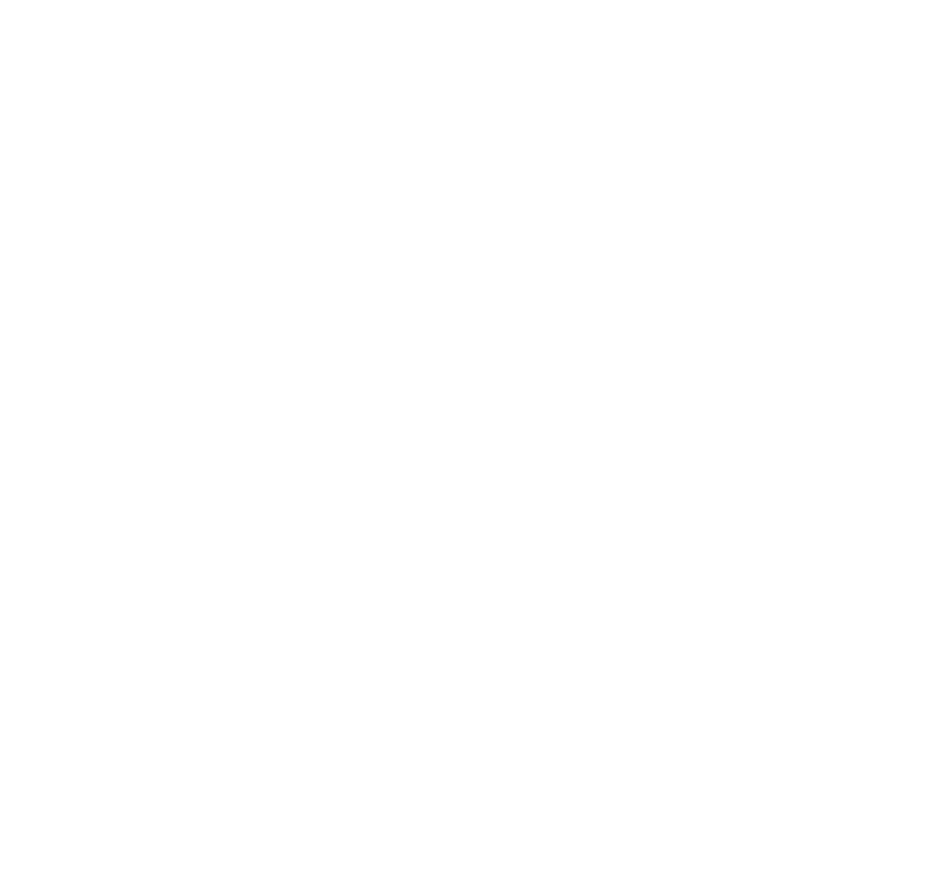 IFMSA-Leiden